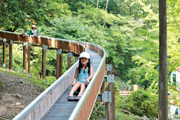 川和自然公園 上野村