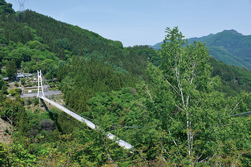 スカイブリッジ全景