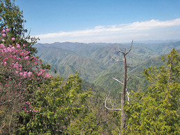 登山