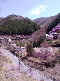 春の塩ノ沢地区