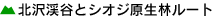 kkJƃVIWу[g