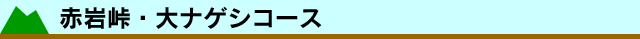 Ԋ⓻EiQVR[X