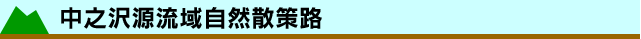 V򌹗掩RUH