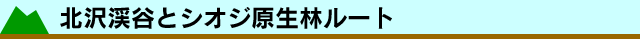 kkJƃVIWу[g
