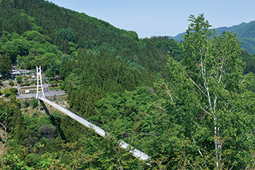 スカイブリッジ